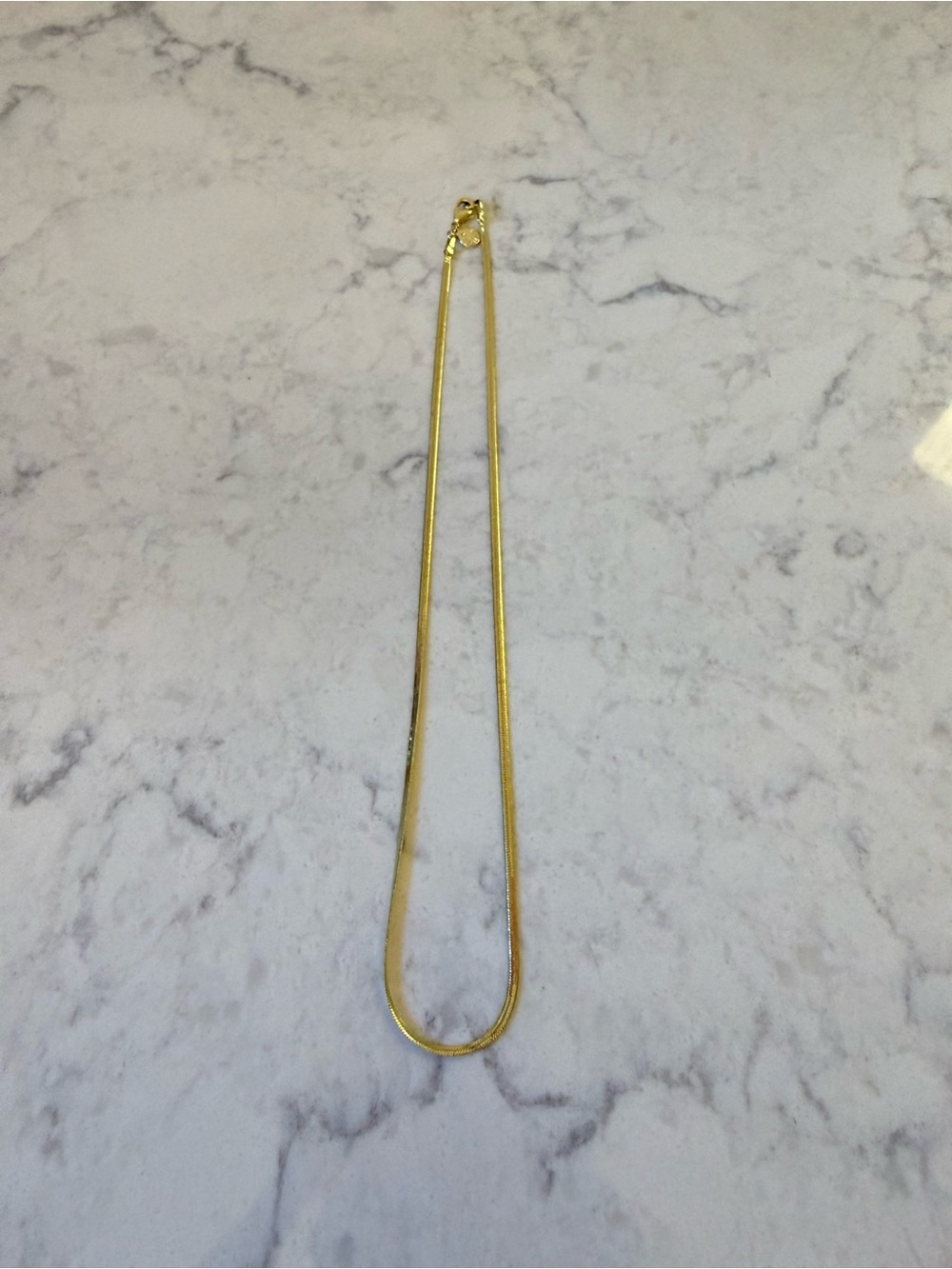 Gorjana Mini Venice Necklace. 16 inch.